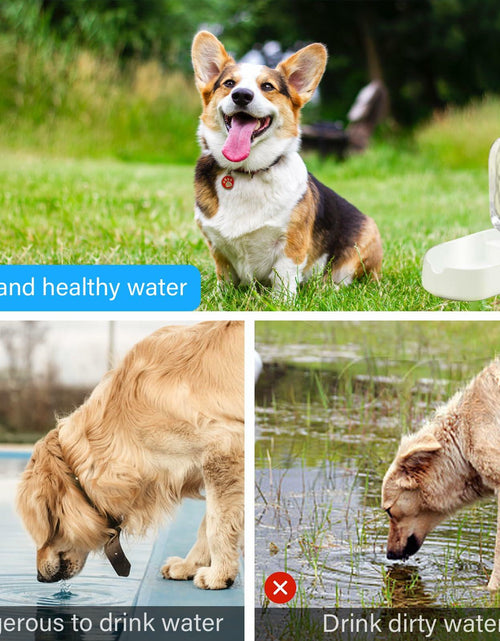 Load image into Gallery viewer, Maatouna Dog Water Bottle Foldable Leak-Proof Portable Outdoor Yellow
