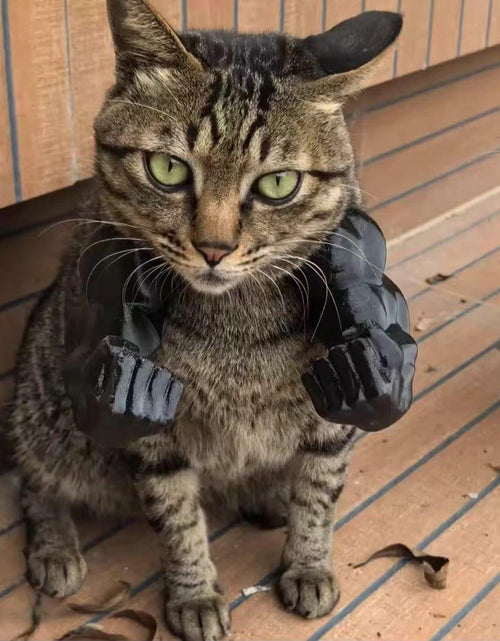 Load image into Gallery viewer, Generic Creative Cat 3D Printed Muscle Arms Halloween Costume Accessory Black
