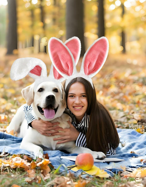 Load image into Gallery viewer, IGMaryBox 2PCS Bunny Ears Headband Plush Hairbands Pink 1 count
