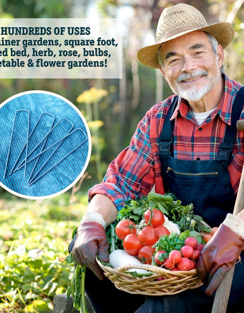 Load image into Gallery viewer, The 5 Star Collection 100 Galvanized Landscape Staples Heavy Duty Garden Stakes
