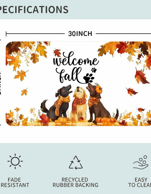 Load image into Gallery viewer, TopXmai Chinoiserie Pumpkin Door Mat 17x30 Blue White Orange Indoor Outdoor
