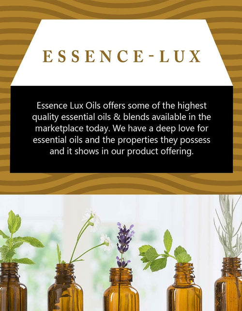 Load image into Gallery viewer, Essence-Lux Sandalwood Essential Oil 10ml 0.33oz Aromatherapy Dropper
