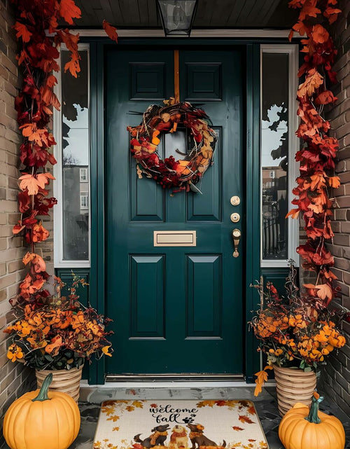Load image into Gallery viewer, TopXmai Chinoiserie Pumpkin Door Mat 17x30 Blue White Orange Indoor Outdoor

