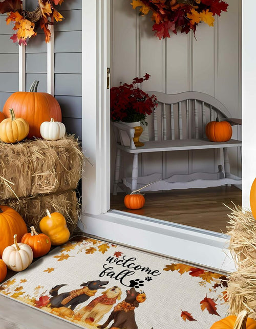 Load image into Gallery viewer, TopXmai Chinoiserie Pumpkin Door Mat 17x30 Blue White Orange Indoor Outdoor
