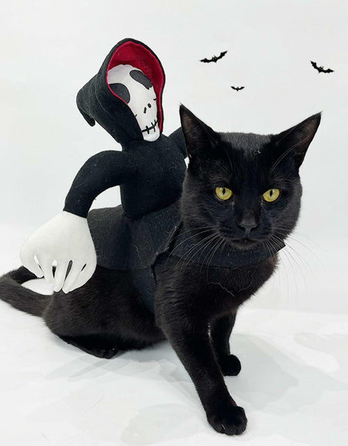 Load image into Gallery viewer, stepsin Dog Halloween Saddle Ghost Riding Costume Male Ghost Size S-M
