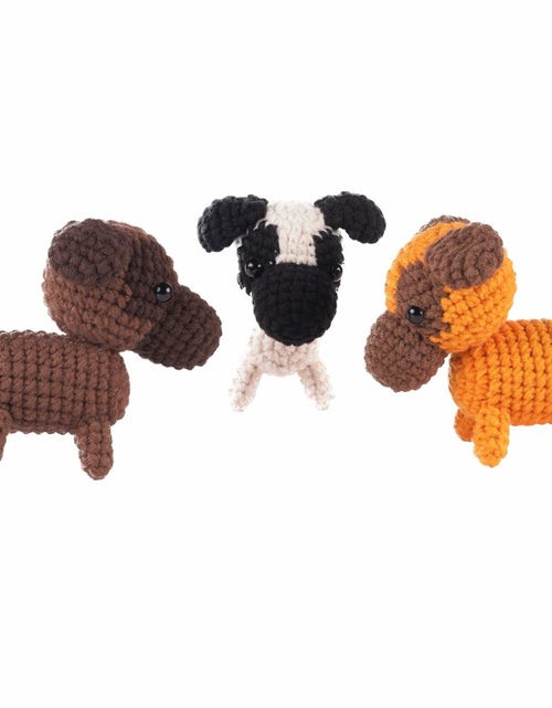 Load image into Gallery viewer, Finnacy Crochet Dog Kit Husky 3 pcs Yarn Hook Accessories Starter Kit
