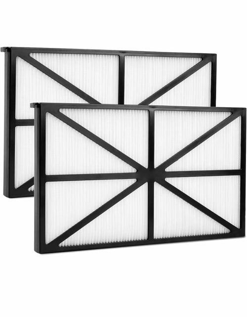 Load image into Gallery viewer, Tingf 2-Piece Pool Filter RCX70101PAK2 for TigerShark SharkVac AquaVac
