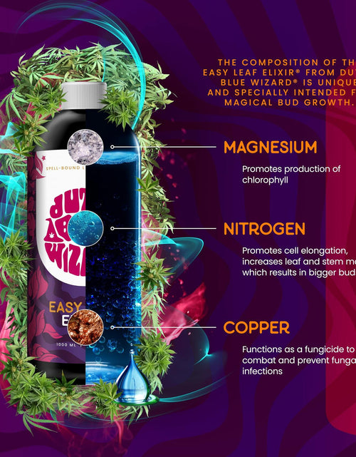 Load image into Gallery viewer, Dutch Blue Wizard Easy Leaf Elixir Plant Food Hydroponics Liquid Nutrient
