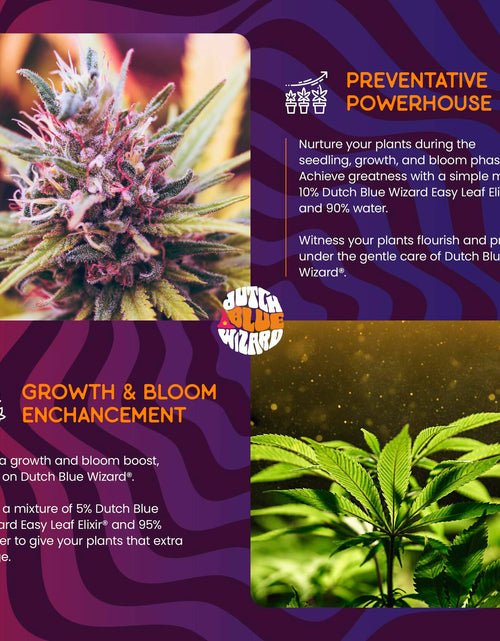 Load image into Gallery viewer, Dutch Blue Wizard Easy Leaf Elixir Plant Food Hydroponics Liquid Nutrient
