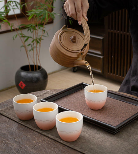 TEANAGOO Japanese Tea Cup 5.6oz Gradient Pink White 4 Pcs Box