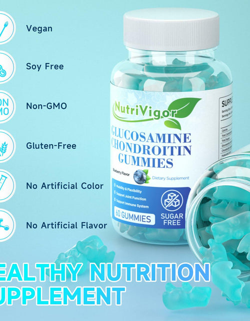 Load image into Gallery viewer, NutriVigor Glucosamine Chondroitin MSM Elderberry Gummies Blueberry 60ct
