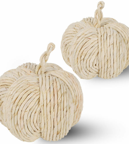 winemana 2 Pack Woven Pumpkin Decor Fall Thanksgiving White Assorted Size