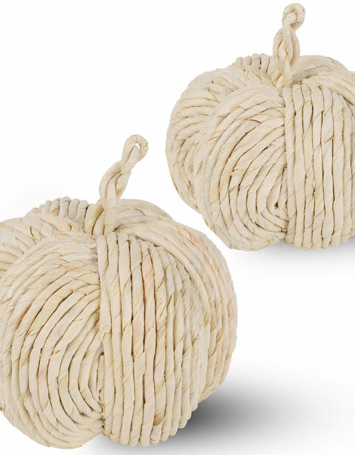 Load image into Gallery viewer, winemana 2 Pack Woven Pumpkin Decor Fall Thanksgiving White Assorted Size
