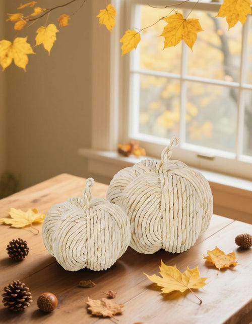 Load image into Gallery viewer, winemana 2 Pack Woven Pumpkin Decor Fall Thanksgiving White Assorted Size
