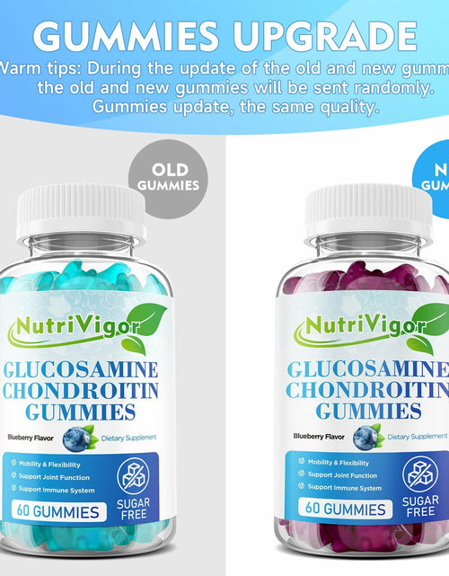 Load image into Gallery viewer, NutriVigor Glucosamine Chondroitin MSM Elderberry Gummies Blueberry 60ct
