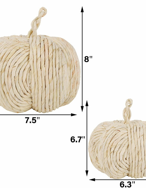 Load image into Gallery viewer, winemana 2 Pack Woven Pumpkin Decor Fall Thanksgiving White Assorted Size

