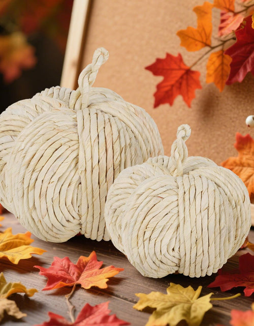 Load image into Gallery viewer, winemana 2 Pack Woven Pumpkin Decor Fall Thanksgiving White Assorted Size
