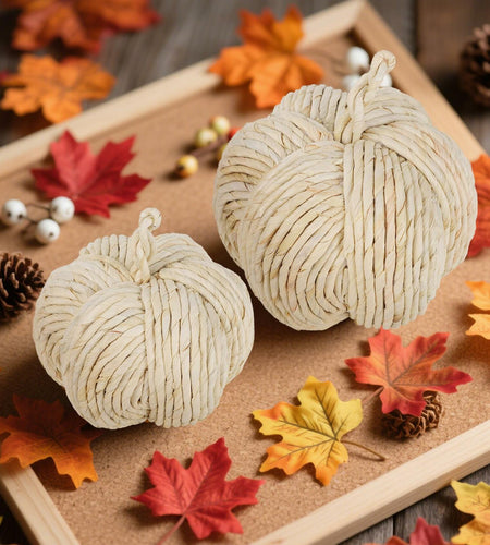 winemana 2 Pack Woven Pumpkin Decor Fall Thanksgiving White Assorted Size