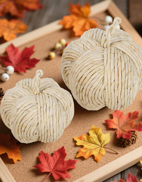 Load image into Gallery viewer, winemana 2 Pack Woven Pumpkin Decor Fall Thanksgiving White Assorted Size

