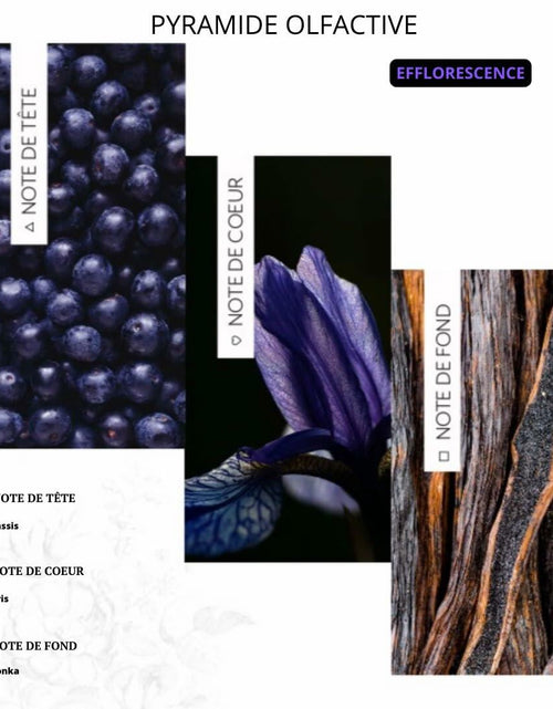Load image into Gallery viewer, MADE IN FRANCE Hair Oil Argan Moringa Macadamia Coconut Castor 3.38 FL OZ
