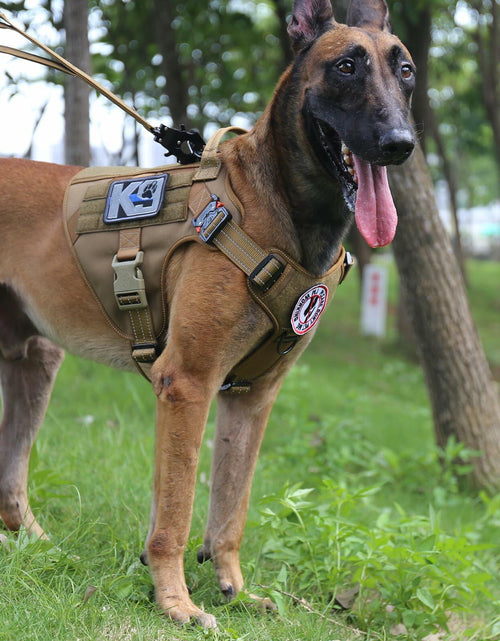 Load image into Gallery viewer, ICEFANG GN1 Reflective Tactical Dog Harness MOLLE Brown Pack of 1 Size XL
