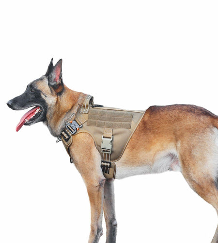 ICEFANG GN1 Reflective Tactical Dog Harness MOLLE Brown Pack of 1 Size XL