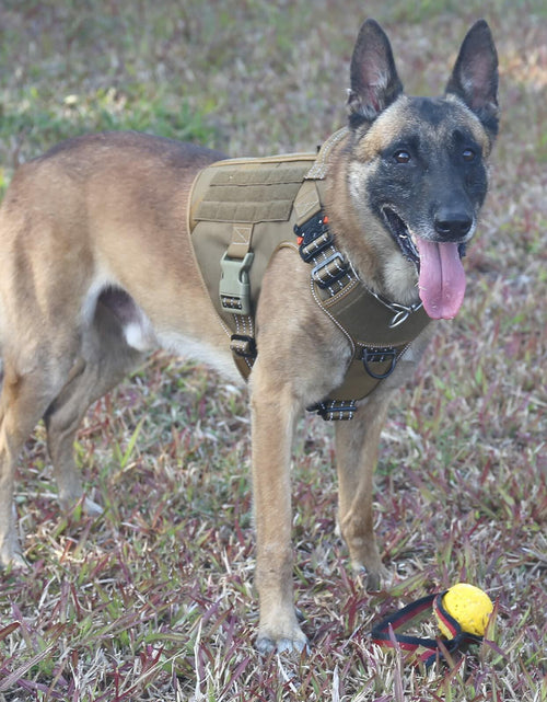Load image into Gallery viewer, ICEFANG GN1 Reflective Tactical Dog Harness MOLLE Brown Pack of 1 Size XL
