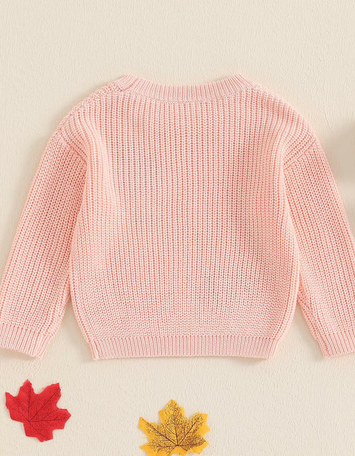 Load image into Gallery viewer, Adobabirl Baby Halloween Sweater Pumpkin Embroidery Knit Pullover Pink Size 6-9M
