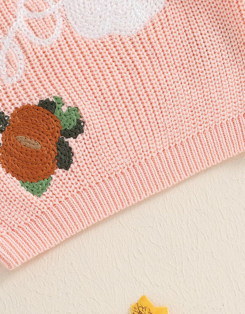 Load image into Gallery viewer, Adobabirl Baby Halloween Sweater Pumpkin Embroidery Knit Pullover Pink Size 6-9M
