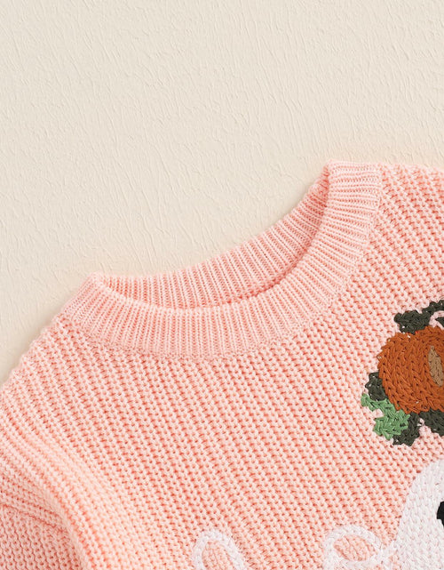 Load image into Gallery viewer, Adobabirl Baby Halloween Sweater Pumpkin Embroidery Knit Pullover Pink Size 6-9M
