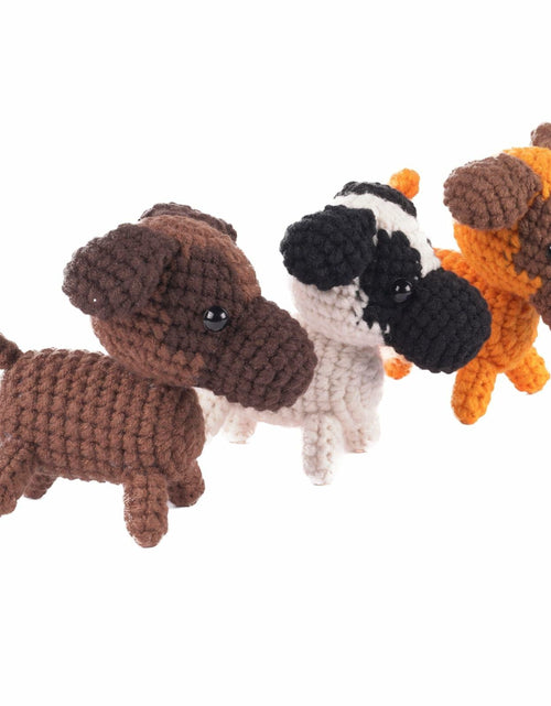 Load image into Gallery viewer, Finnacy Crochet Dog Kit Husky 3 pcs Yarn Hook Accessories Starter Kit

