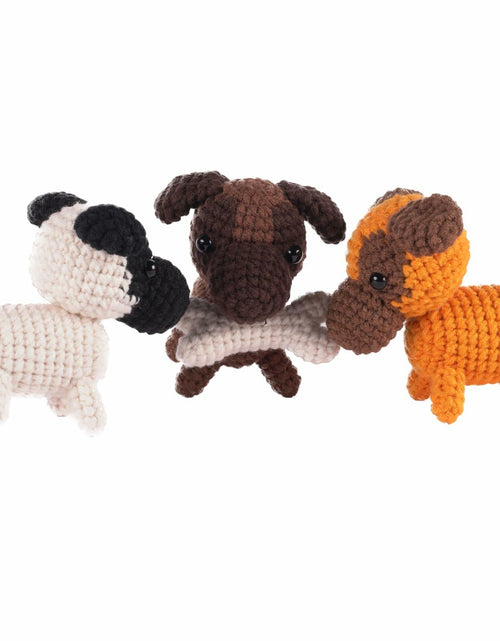 Load image into Gallery viewer, Finnacy Crochet Dog Kit Husky 3 pcs Yarn Hook Accessories Starter Kit
