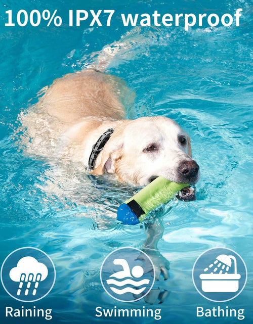 Load image into Gallery viewer, Generic Dog Shock Collar 3280FT Remote IPX8 Waterproof Beep Vibration Shock
