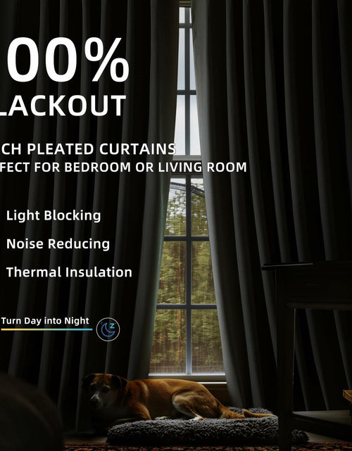 Load image into Gallery viewer, ChrisDowa Pinch Pleated Blackout Linen Curtains 40x102in Greyish Beige 2 Panels
