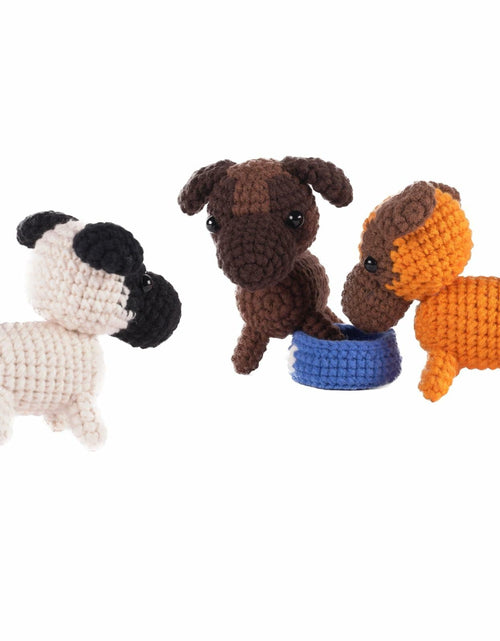 Load image into Gallery viewer, Finnacy Crochet Dog Kit Husky 3 pcs Yarn Hook Accessories Starter Kit
