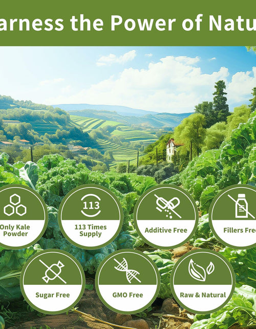 Load image into Gallery viewer, Hudetex Kale Powder 100% Pure Green Juice 12oz Vegan Dietary Fiber
