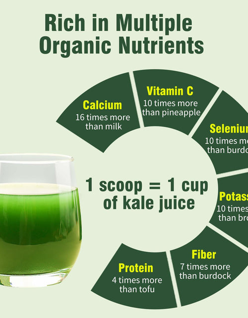 Load image into Gallery viewer, Hudetex Kale Powder 100% Pure Green Juice 12oz Vegan Dietary Fiber
