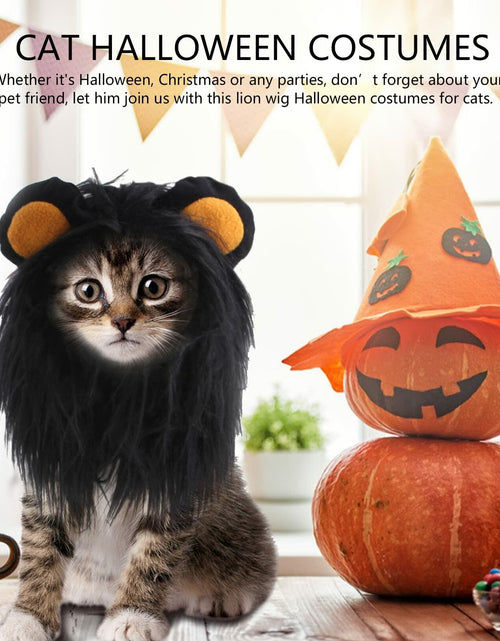 Load image into Gallery viewer, ITESSY Cat Halloween Costume Black Lion Mane Wig Hat Size S
