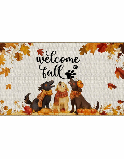 Load image into Gallery viewer, TopXmai Chinoiserie Pumpkin Door Mat 17x30 Blue White Orange Indoor Outdoor
