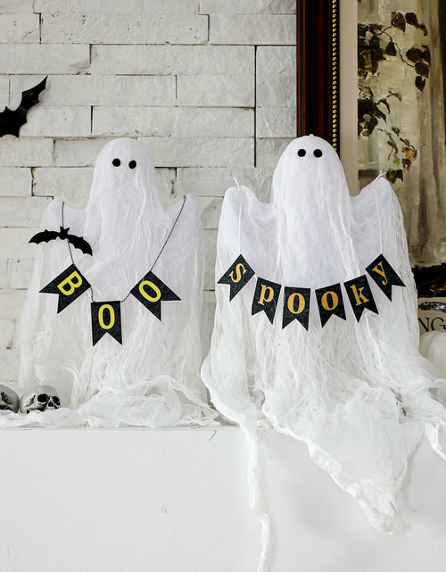 Load image into Gallery viewer, Janinka 2 Pcs Mesh Halloween Ghost Decorations Spooky White Centerpiece
