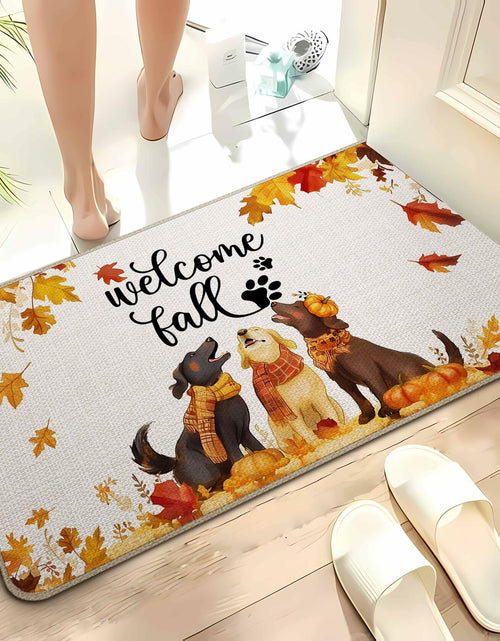 Load image into Gallery viewer, TopXmai Chinoiserie Pumpkin Door Mat 17x30 Blue White Orange Indoor Outdoor
