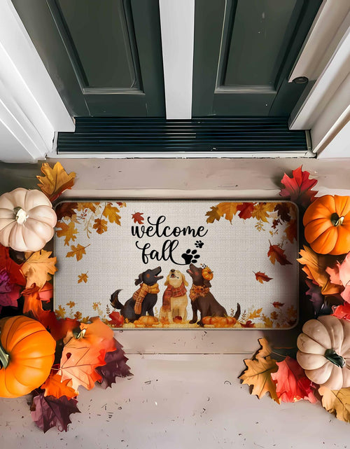 Load image into Gallery viewer, TopXmai Chinoiserie Pumpkin Door Mat 17x30 Blue White Orange Indoor Outdoor
