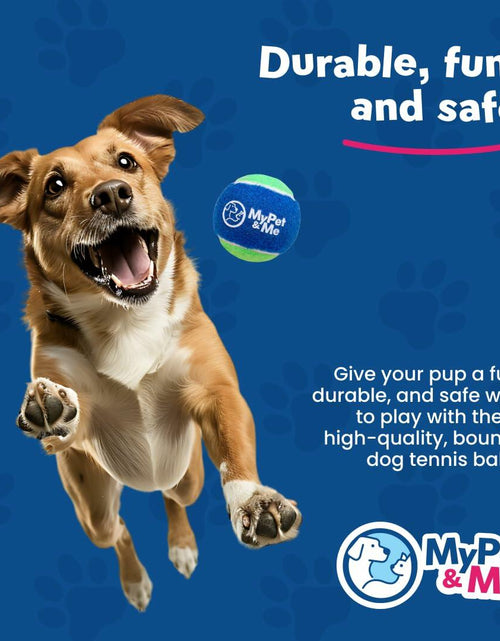 Load image into Gallery viewer, My Pet &amp; Me Dog Tennis Balls 2.5-Inch Soft Lightweight Indoor Outdoor 4 Pack
