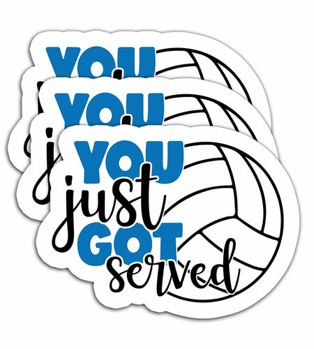 HYKADEUS You Just Got Served Volleyball Sticker 3x2.2in 3Pcs Waterproof Vinyl