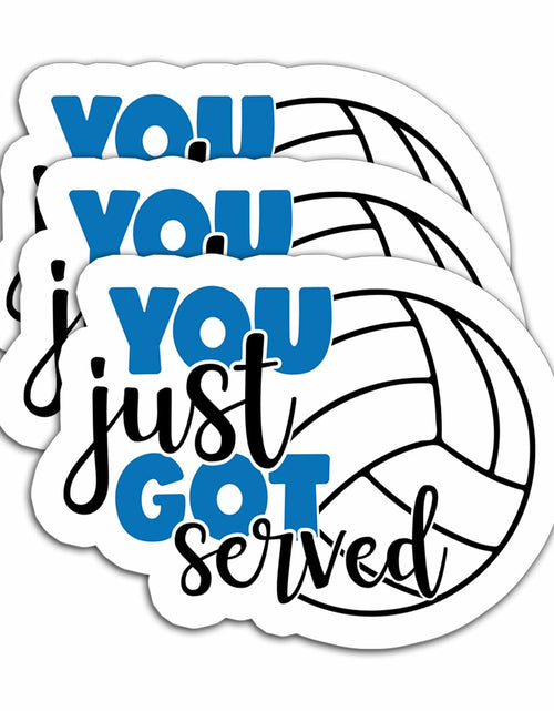 Load image into Gallery viewer, HYKADEUS You Just Got Served Volleyball Sticker 3x2.2in 3Pcs Waterproof Vinyl
