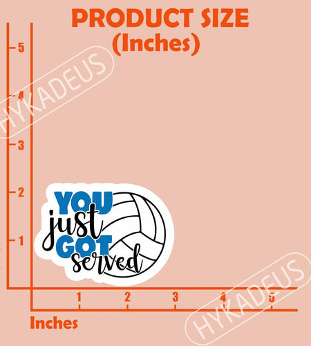 HYKADEUS You Just Got Served Volleyball Sticker 3x2.2in 3Pcs Waterproof Vinyl
