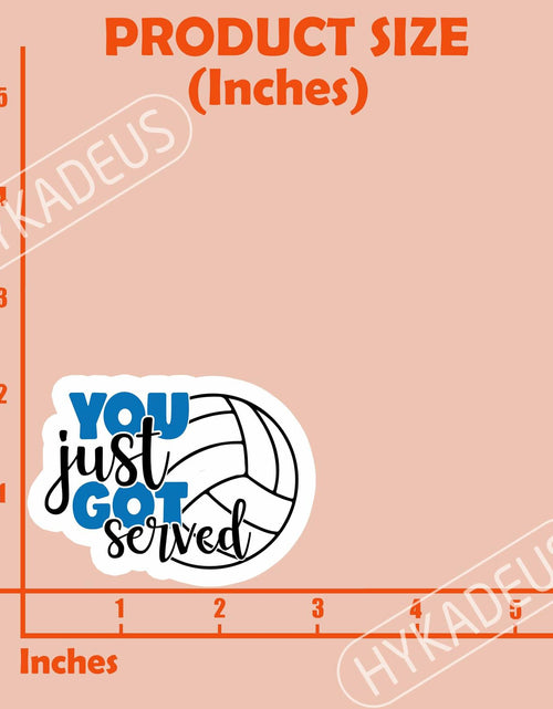 Load image into Gallery viewer, HYKADEUS You Just Got Served Volleyball Sticker 3x2.2in 3Pcs Waterproof Vinyl
