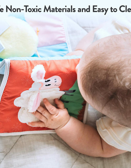 Load image into Gallery viewer, Spiggly High Contrast Baby Toys &amp; Books Black White 0-6 Months Infant
