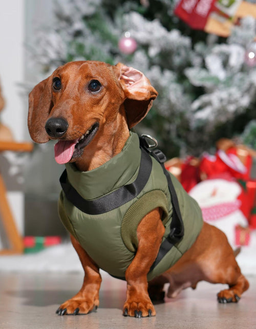 Load image into Gallery viewer, JoyDaog Dog Jacket Harness Fleece Lined Warm Winter Vest LightOrange Size M
