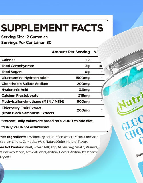 Load image into Gallery viewer, NutriVigor Glucosamine Chondroitin MSM Elderberry Gummies Blueberry 60ct
